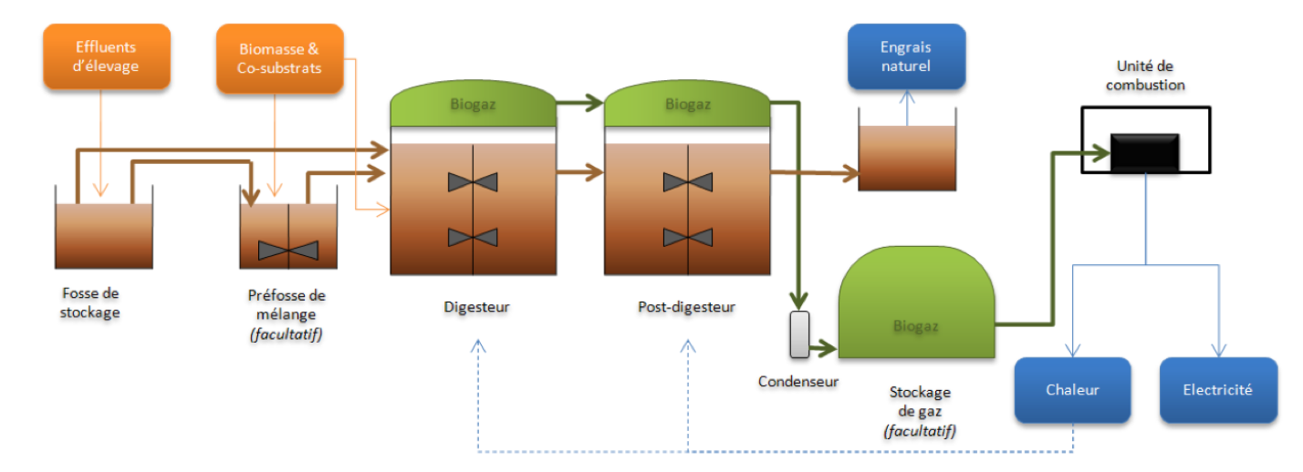 Schémas types d’une installation de biométhanisation