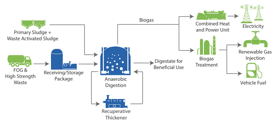 Anaergia - biogas process of the omnivore anaerobic digestion upgrades