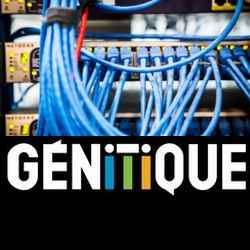 Genitique Industrial IT systems and automation