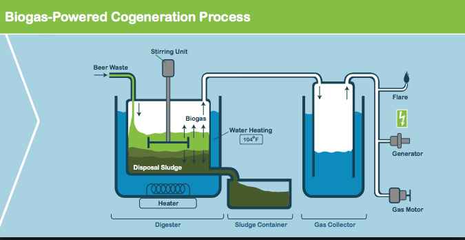 Biogas for heat: how does CHP unit works?