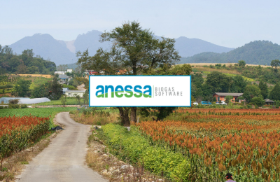 Anessa Press Release