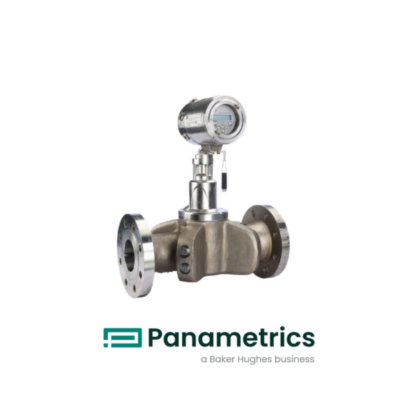 PanaFlow Z2G Ultrasonic Flow Meters (1)