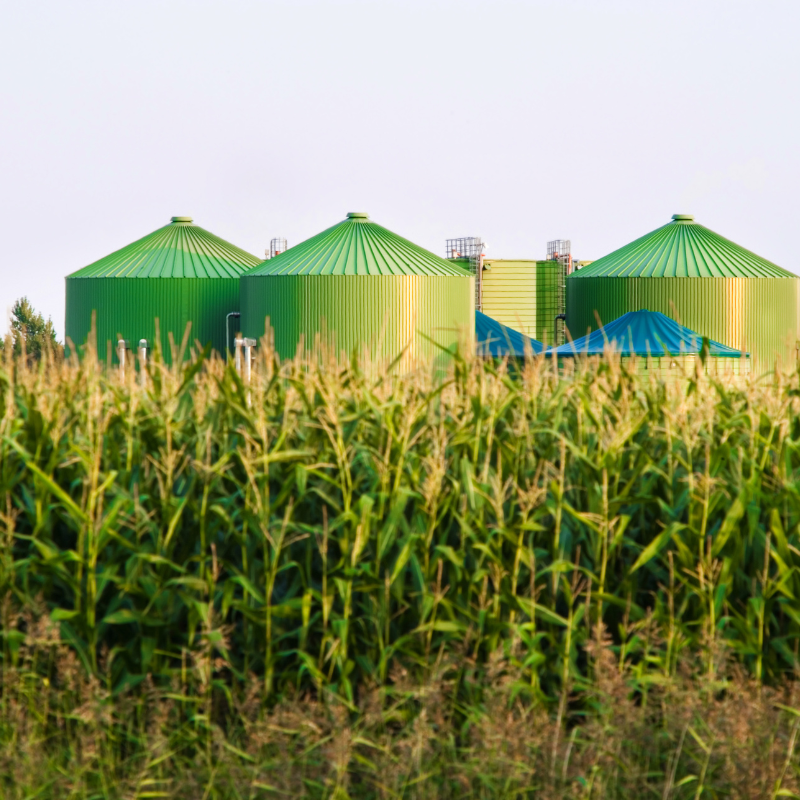 The Biogas Co-Op